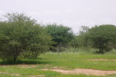 burkina-faso-risultati-27