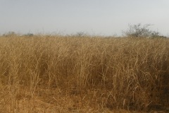 burkina-faso-risultati-30