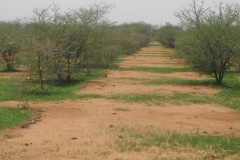 burkina-faso-risultati-46