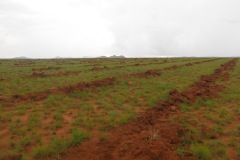 Madagascar - before soil tillage