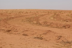 Morocco - before soil tillage 